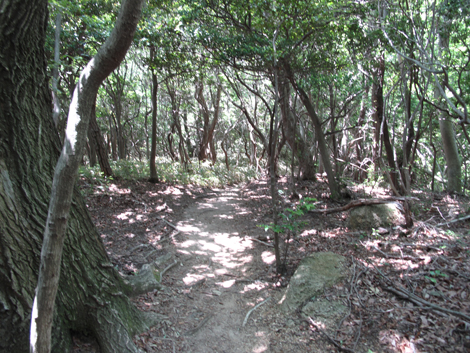 20140602hike (194)